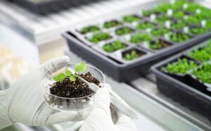 What is a Controlled Environment