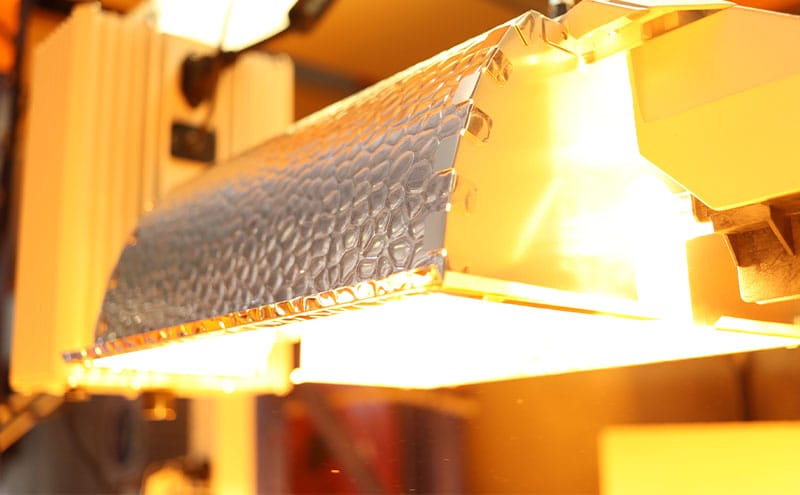 Lighting For Plant Growth In Controlled Environments 0000s 0000 biora plant growth lap testing hps 8