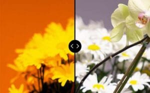 Are Grow Lights Dangerous to the Human Eye