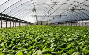 rethinking greenhouses for agricultural research