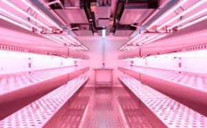 blog images Tissue Culture Room Helps Smash Research 0000s 0003 Biora Walk In Grow Chamber QAAFI 2020 36