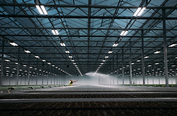 LED grow lights commericial greenhouse MITRA Helispectra web