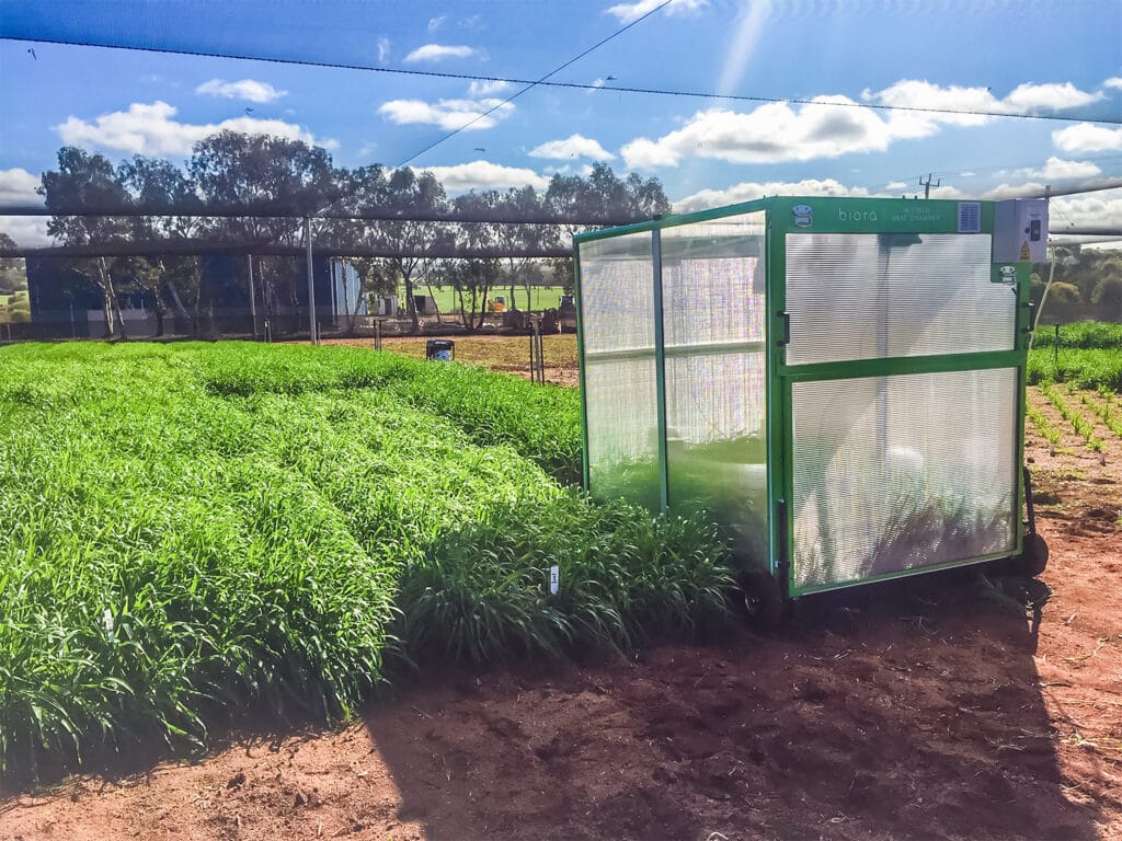 Biora In Field Heat Chamber Edit 2