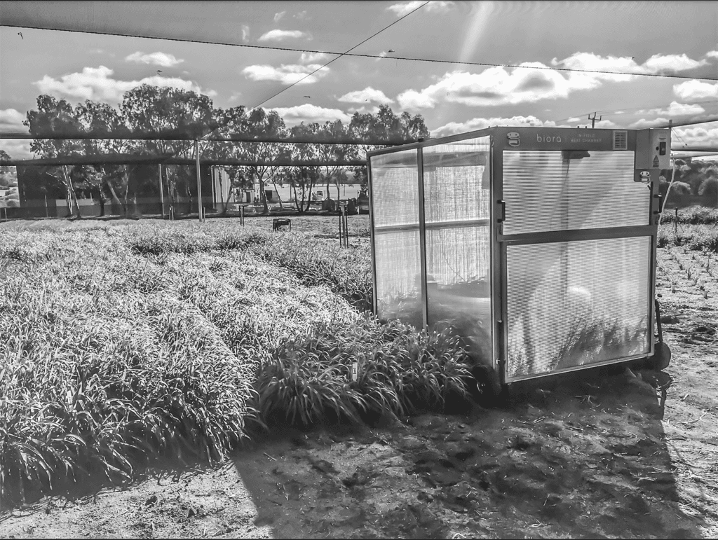 Biora In Field Heat Chamber Edit 2 bw