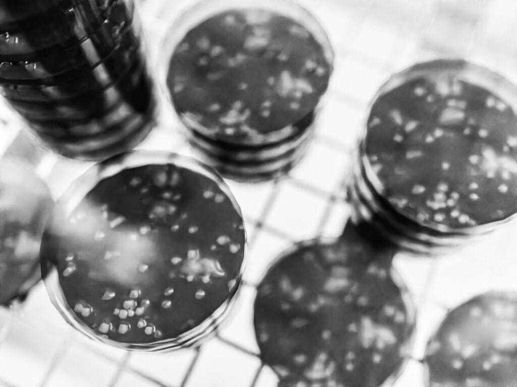 Biora Reach In Chamber 3 1400.927 bw edit