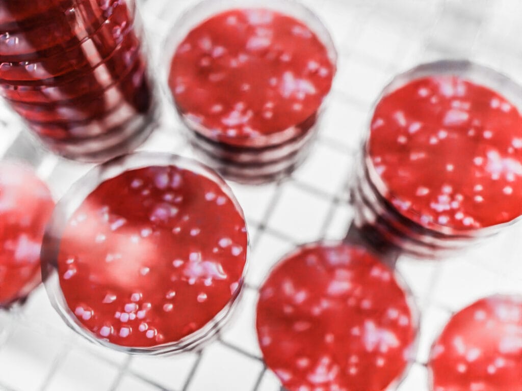 Biora Reach In Chamber 3 1400.927 edit