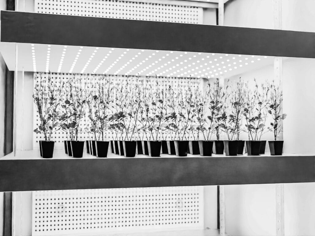 Biora Reach In Chamber 3 1400.930 bw edit