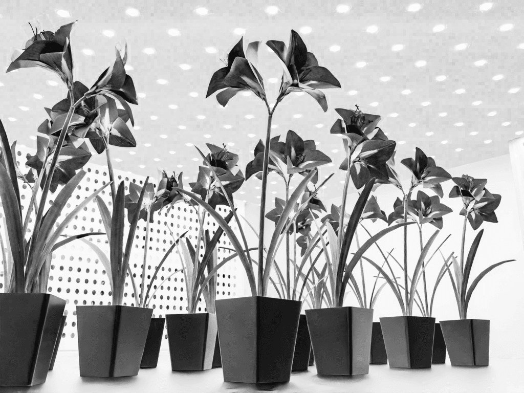 Biora Reach In Chamber 3 1400.931 bw edit