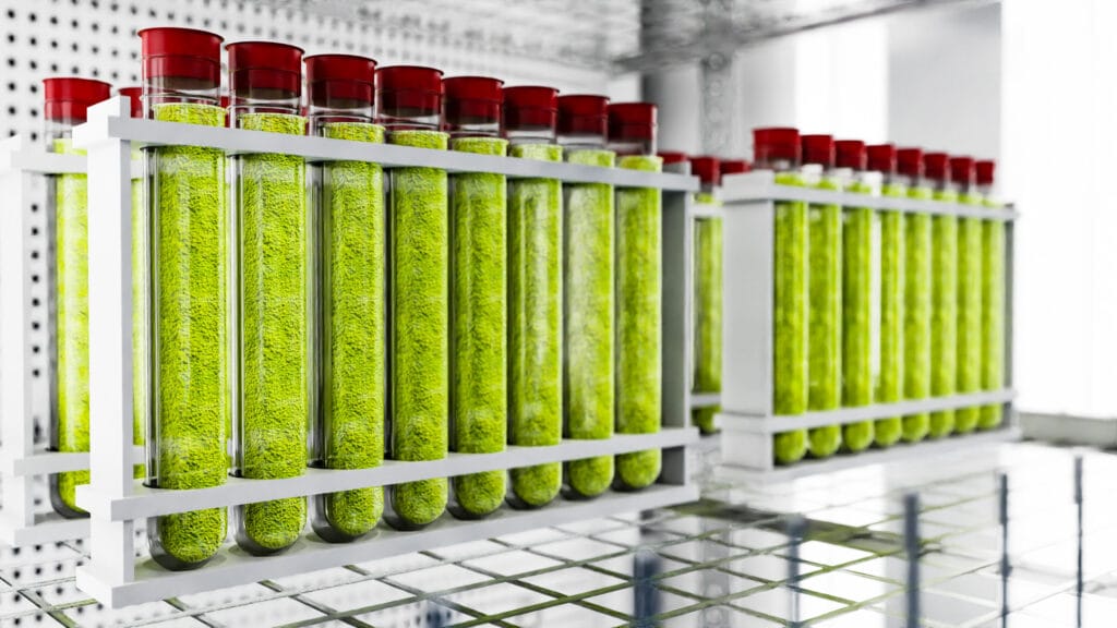 Biora Reach In Chamber 3 1400.935 edit