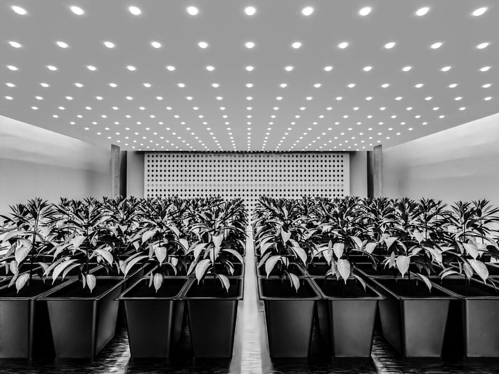 Biora Reach In Chamber 3 1400.938 be edit