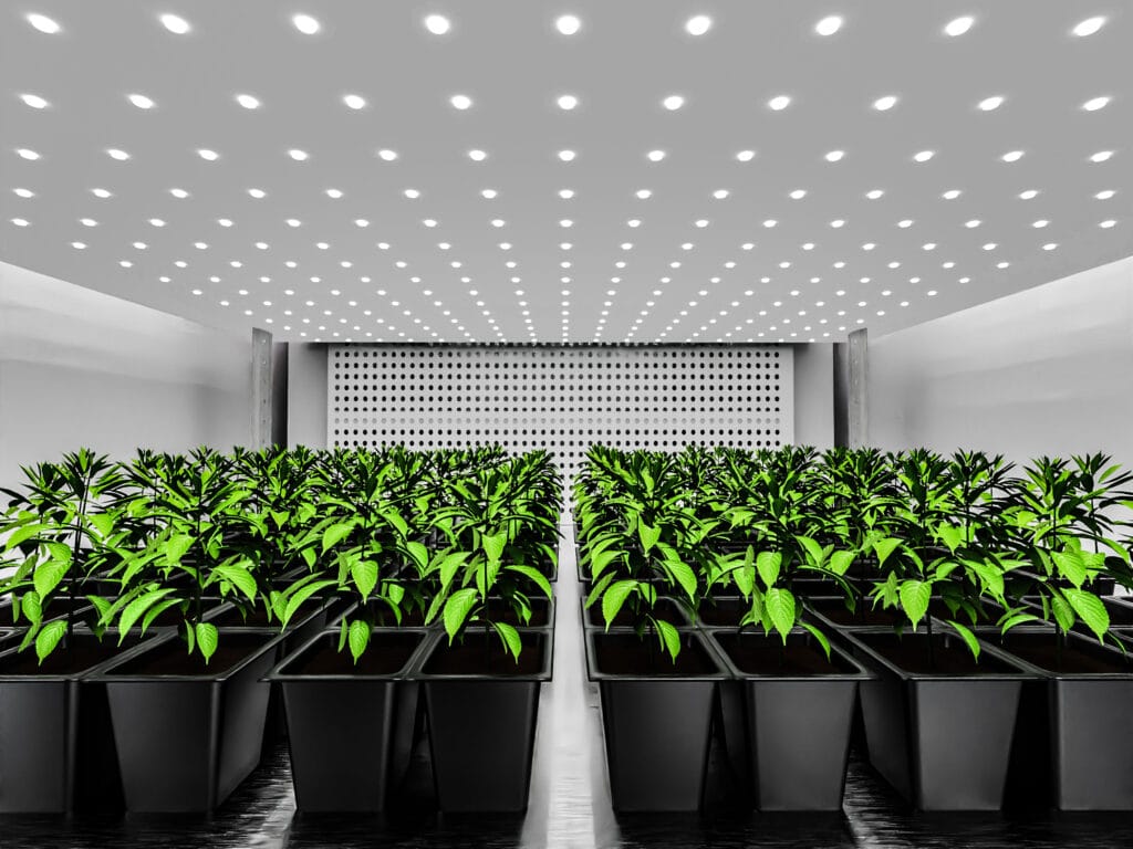 Biora Reach In Chamber 3 1400.938 edit