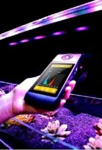 Standalone 205x300 1