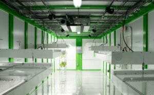 a and l lab plant growth chamber case study 3