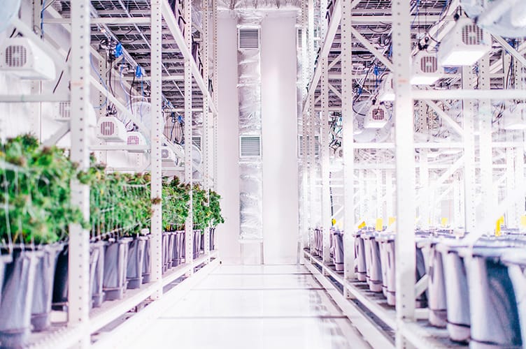 Led Grow light for research cannabis DYNA Heliospectra 1