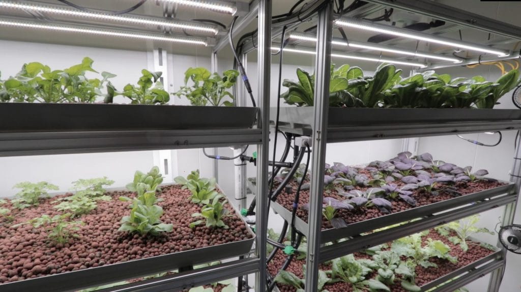 Vertical Farming CEA controlled environment